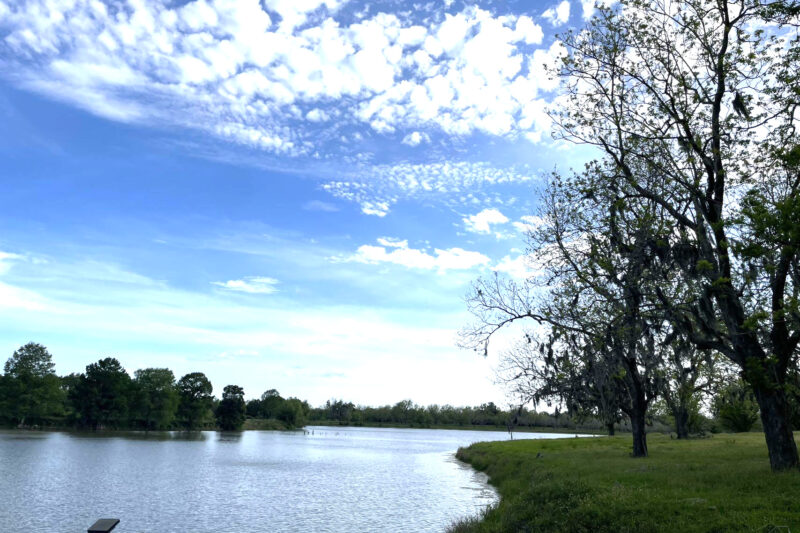 Lakeside serenity